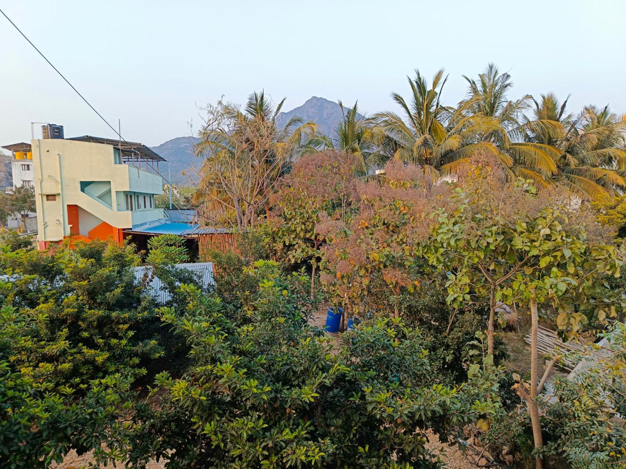 Abaranji Guest House ติรุวันนามาลัย ภายนอก รูปภาพ